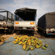Rotten fruits are seen behind trucks at a street market while the spread of the coronavirus disease (COVID-19) continues, in Abuja, Nigeria April 9.